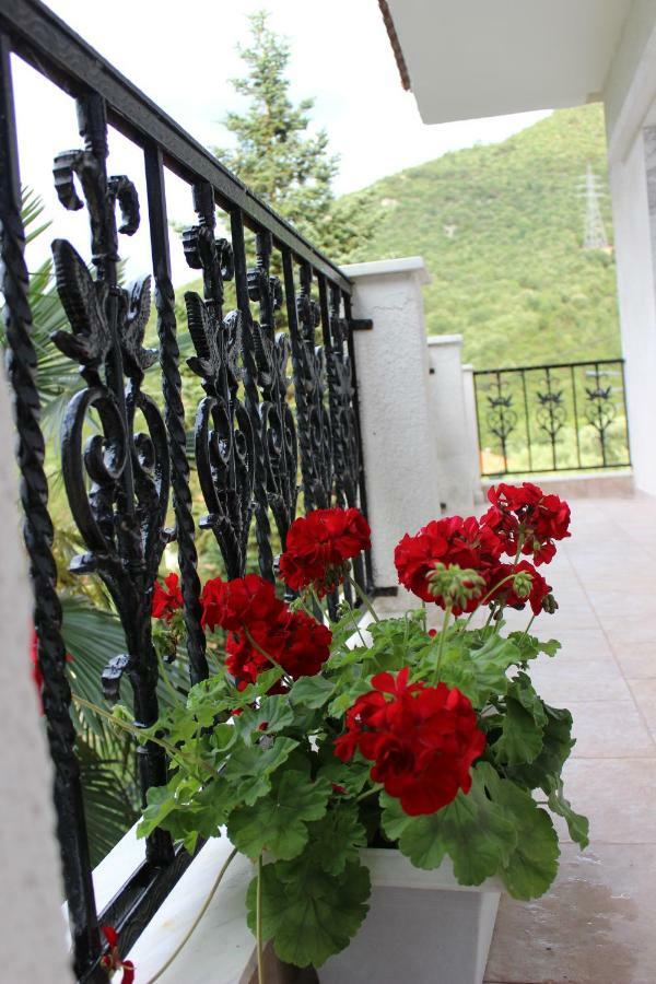 Villa Eleni Agnanti Ano Stavros Exteriér fotografie